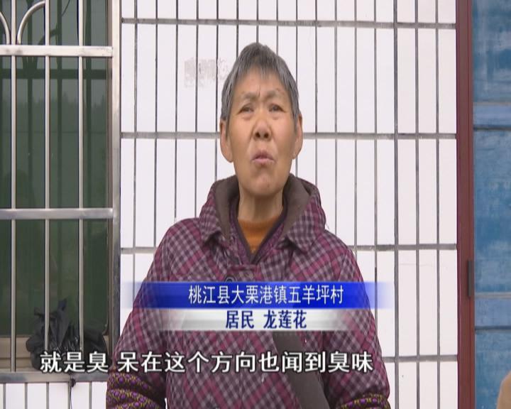 开云(中国)Kaiyun官方网站热线督办｜废品店加工塑料颗粒 碎渣随意丢弃