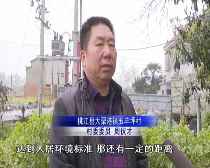 开云(中国)Kaiyun官方网站热线督办｜废品店加工塑料颗粒 碎渣随意丢弃(图5)