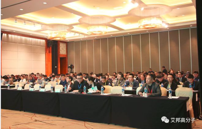 Kaiyun热烈庆祝工程塑料发展与应用论坛——PPO、PPS成功举办(图2)