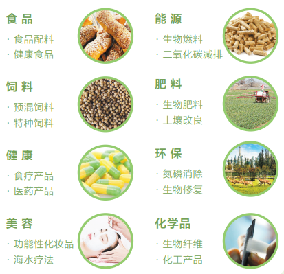 开云揭秘中国石化环保“百宝箱”对付废塑料、废气、废水都不在话下(图6)