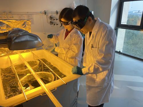 开云揭秘中国石化环保“百宝箱”对付废塑料、废气、废水都不在话下(图8)