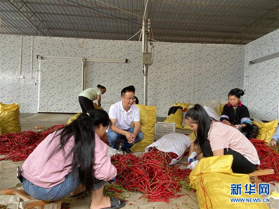 Kaiyun把“最能打的人”放在最需要的地方——聚焦贵州未脱贫县里的“助攻干部”(图6)