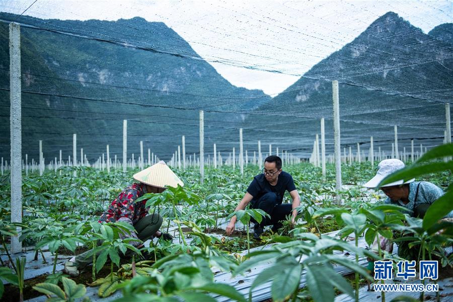 Kaiyun把“最能打的人”放在最需要的地方——聚焦贵州未脱贫县里的“助攻干部”(图14)