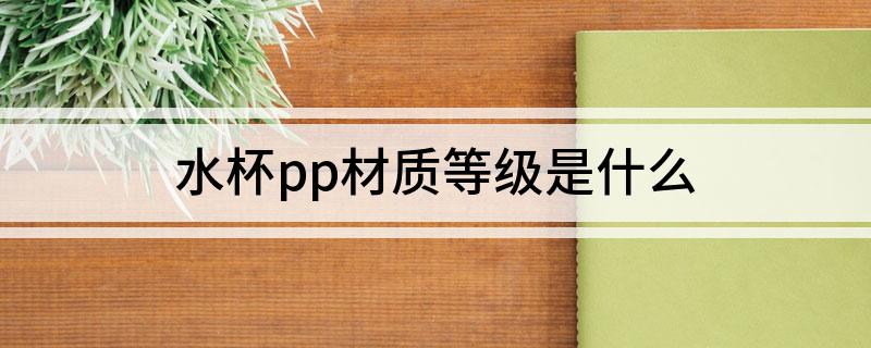 开云水杯pp材质等级是什么