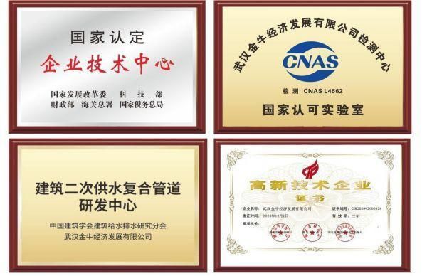开云武汉金牛：荣获“2024中国塑料管道十大品牌”等多项大奖(图2)