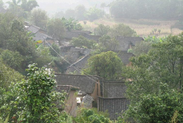 Kaiyun回顾湖南“夺命寡妇村”壮年男人总莫名死亡专家揭开神秘面纱