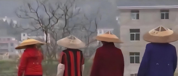 Kaiyun回顾湖南“夺命寡妇村”壮年男人总莫名死亡专家揭开神秘面纱(图7)