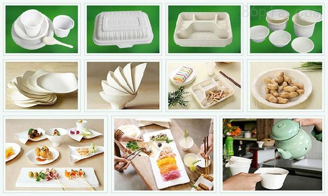 Kaiyun聚乳酸：绿色未来的多面手材料(图4)