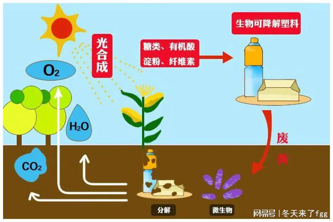 Kaiyun可生物降解塑料：从概念到现实的绿色跨越