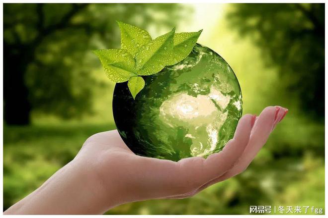 Kaiyun可生物降解塑料：从概念到现实的绿色跨越(图4)