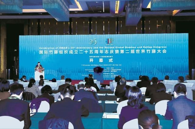 Kaiyun最早明年就用上了!中国“以竹代塑”狠狠痛击西方环保主义脸面(图4)