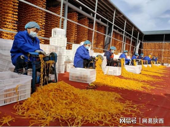 开云西安银行“一行一品”特色建设——西安银行渭南分行：精准服务让县域经济展翅腾飞
