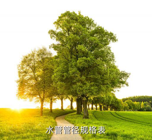 开云管径尺寸对照表国标管径DN15DN20DN25DN32DN40DN50内外径(图2)