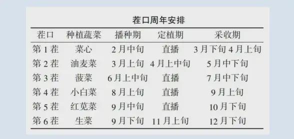 开云(中国)Kaiyun官方网站这种菜一年可种8茬！亩收益最高7万元！(图3)