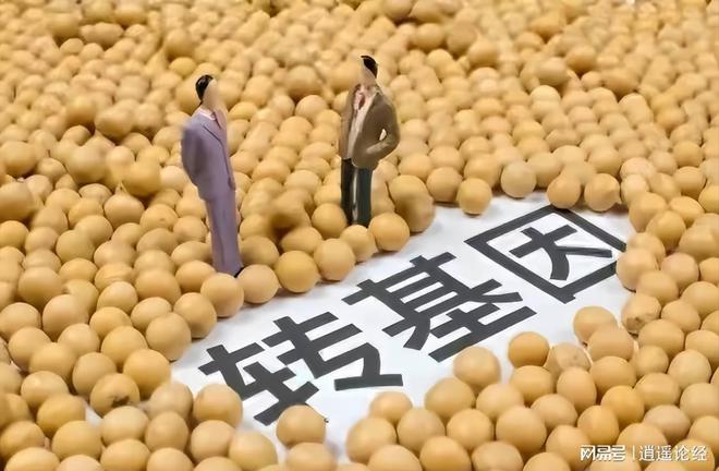 Kaiyun既然转基因添加剂对人无害为何要向外国人承诺食品里没有这些东西