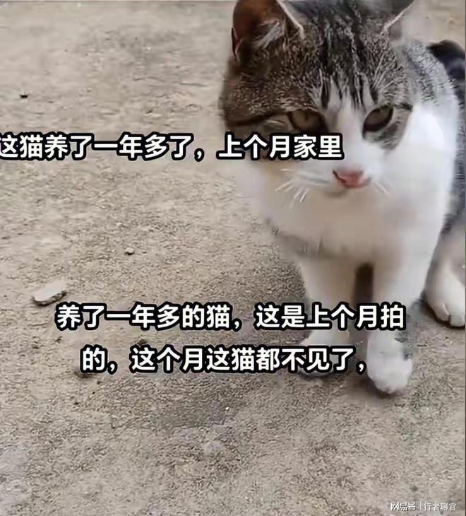 Kaiyun后续！江西国道金溪之眼：儿媳打包行李回娘家女婿身份被扒出(图6)