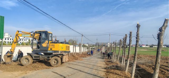开云(中国)Kaiyun官方网站河南确山：打通农田沟渠“生命线”(图2)