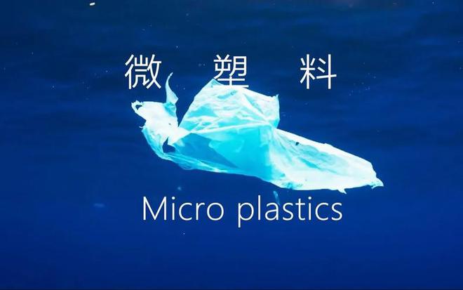 开云(中国)Kaiyun官方网站塑料鱼现餐桌：地中海鱼微塑料超标8倍渔业协会为啥(图7)
