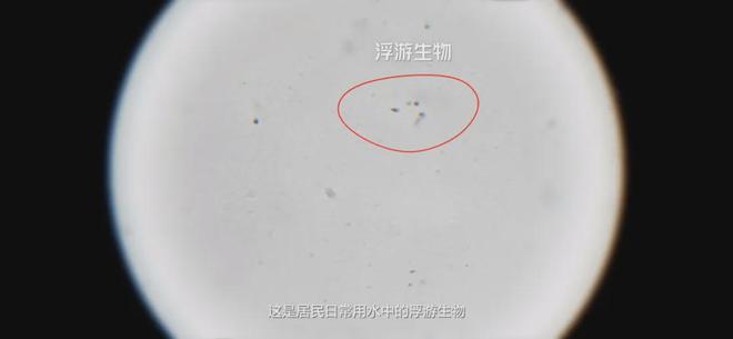 开云(中国)Kaiyun官方网站每周吃一张“信用卡”喝水这件小事到底有多少潜在风(图2)