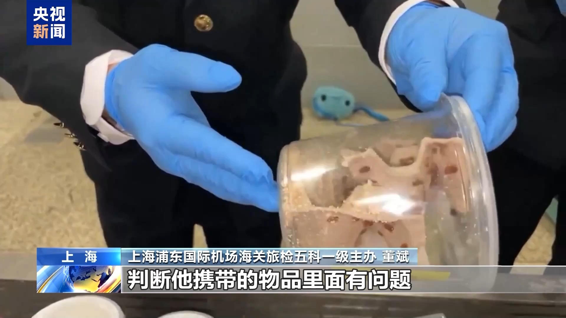 Kaiyun36只蜈蚣闯关？上海海关拆穿“塑料摆件”陷阱(图2)