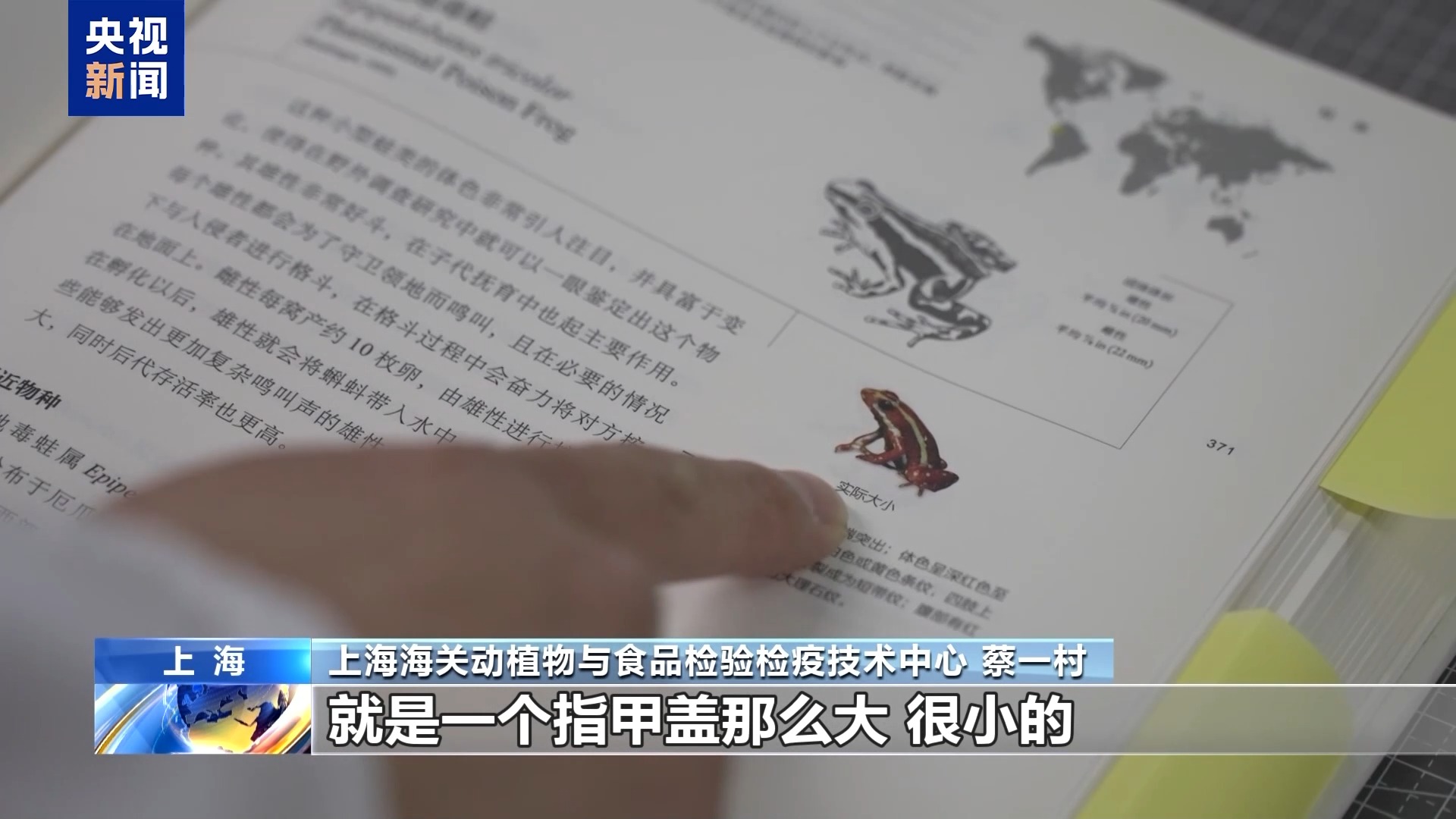 Kaiyun36只蜈蚣闯关？上海海关拆穿“塑料摆件”陷阱(图6)