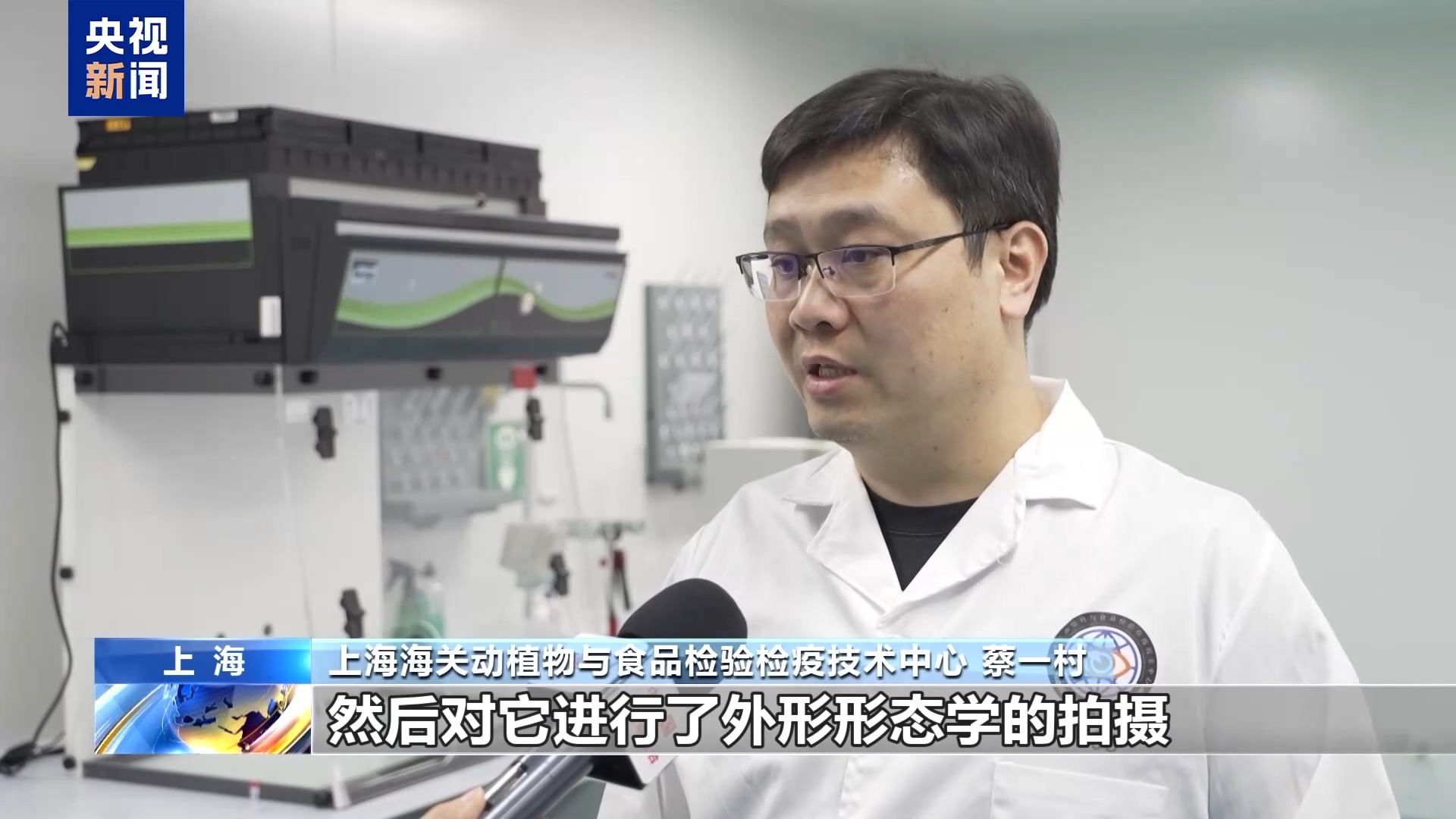 Kaiyun36只蜈蚣闯关？上海海关拆穿“塑料摆件”陷阱(图7)